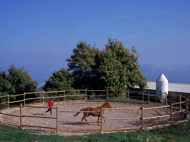 img-pupil·latge-hipicavilaformiu-2024