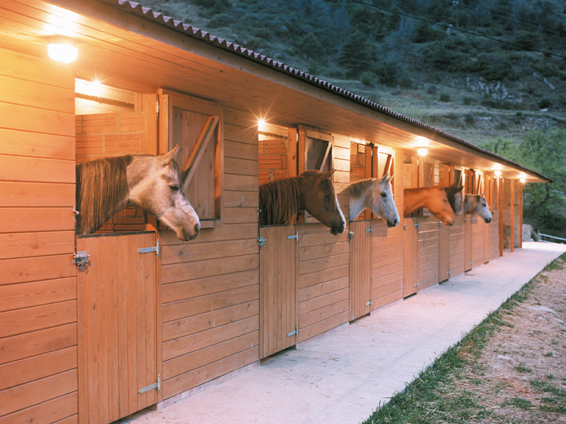 img-serveis-hipicavilaformiu-2024