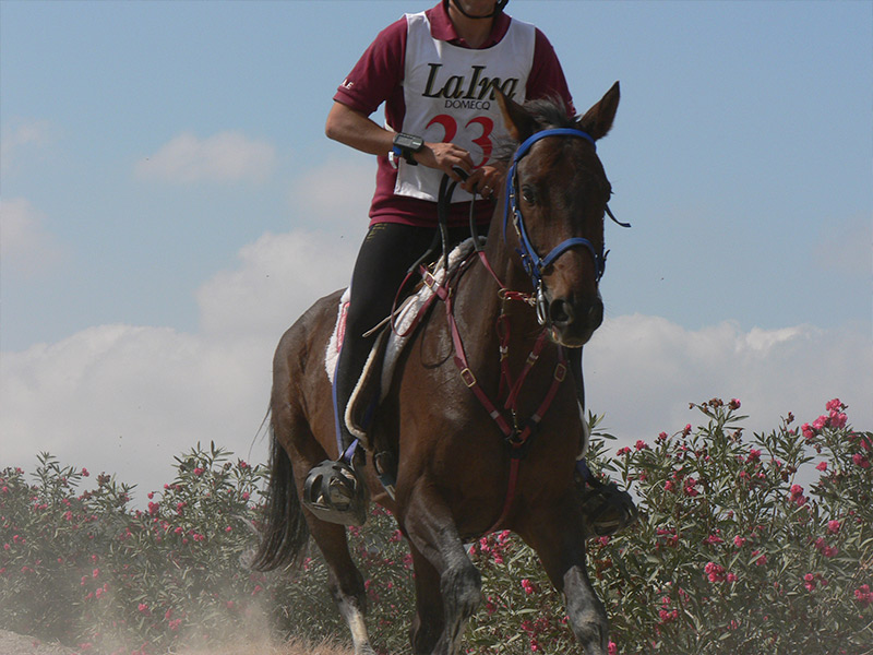 raid-05-hipicavilaformiu-2024